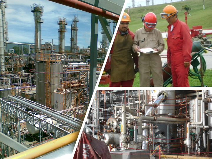 Celanese Mexicana S.A DE C.V Experiencia EHS Consulting México.