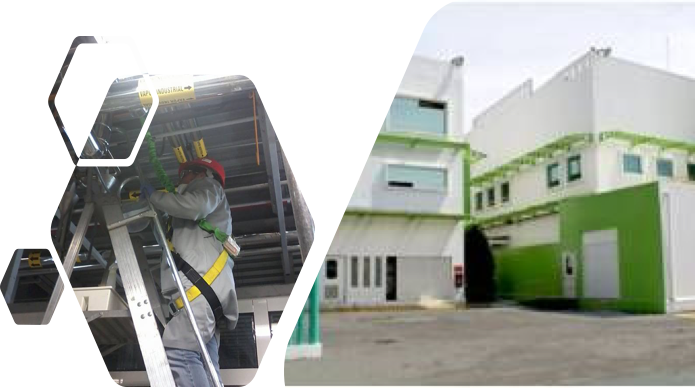 TEVA Pharmaceuticals México Experiencia EHS Consulting México.